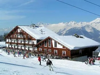 Etoile De Neige